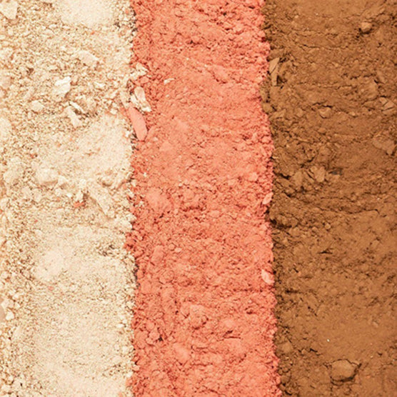 Pac Focus On Me Blush & Highlight X3 (14.5 Gm)