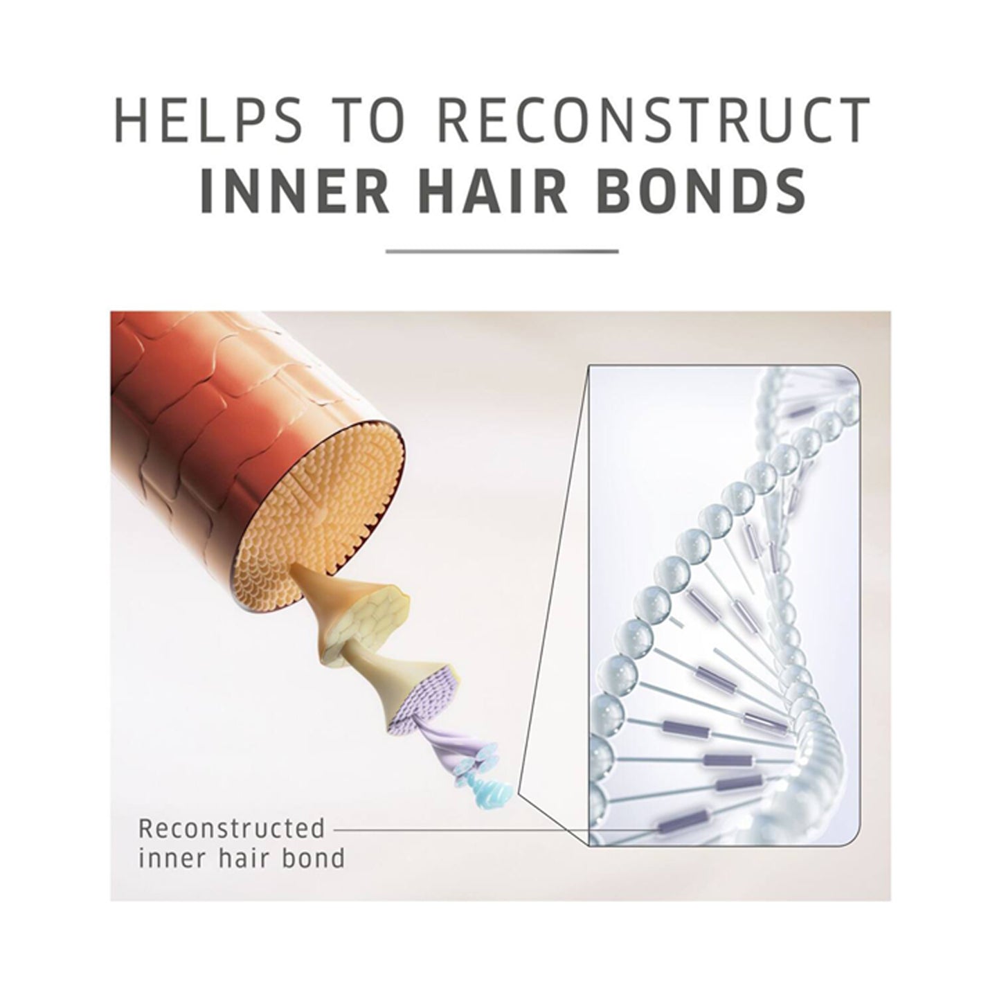 Wella Professionals Colormotion+Structure +Mask