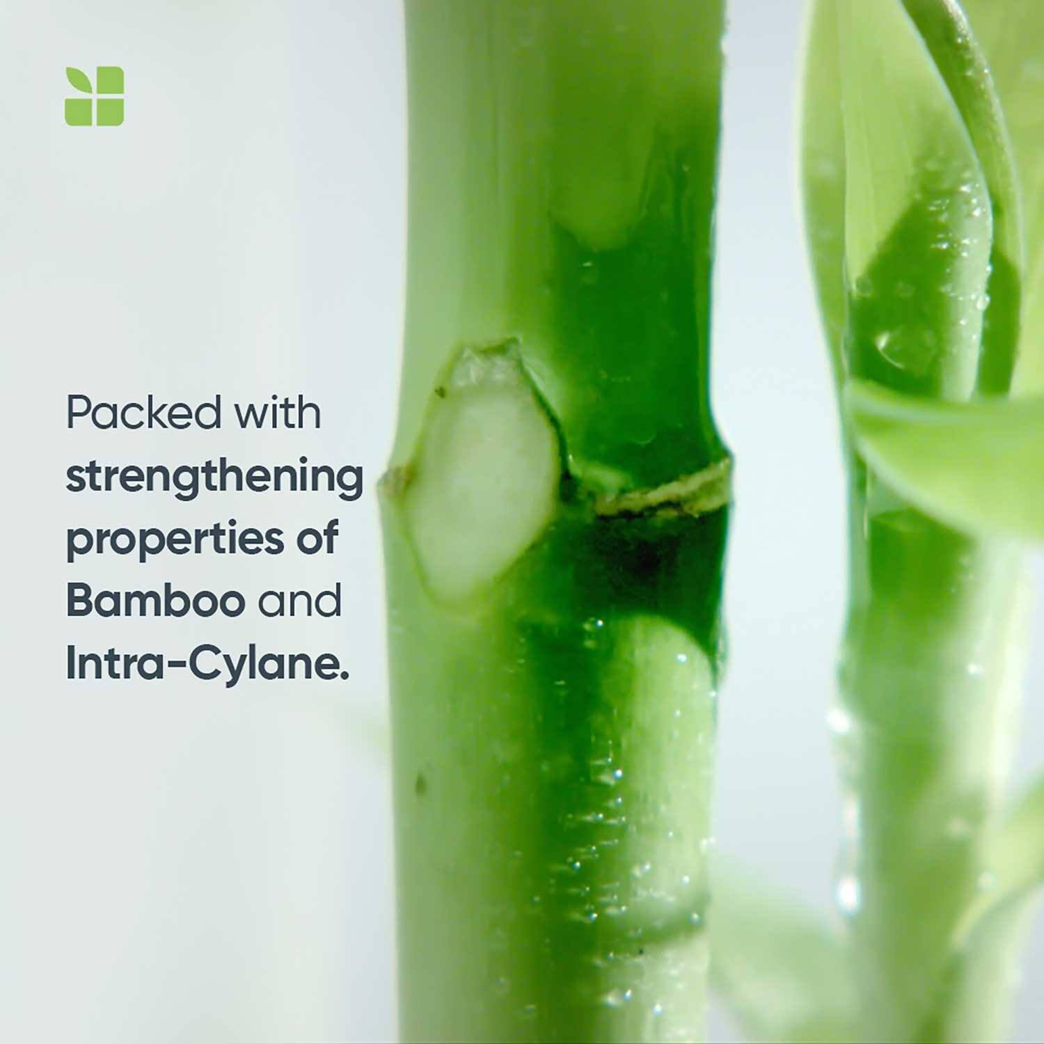 Matrix Biolage Advanced Fiberstrong Bamboo Shampoo