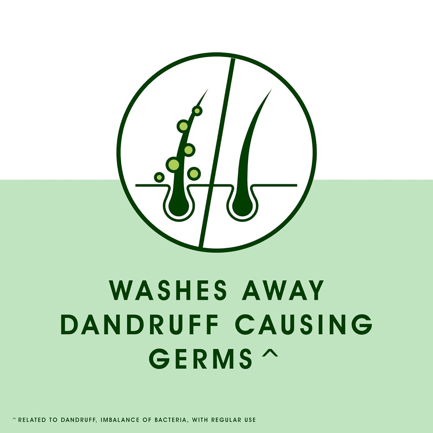 Head & Shoulders Anti-Dandruff Shampoo Neem