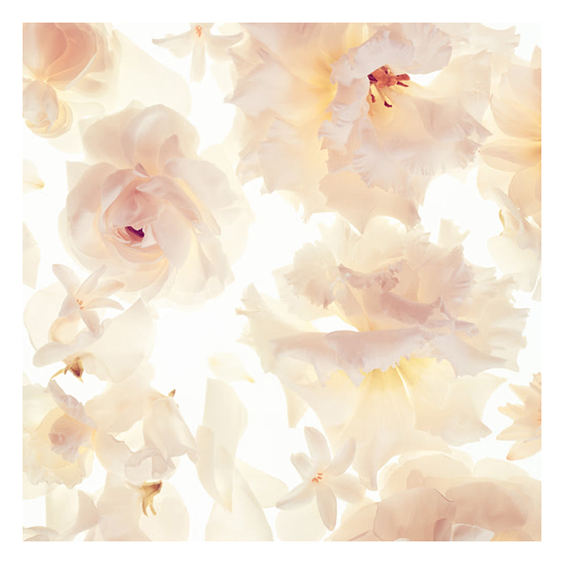 Michael Kors Gorgeous Eau De Parfum Spray
