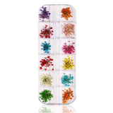 Shills Dry Flower Grid Sgm-7