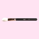 Felic 21 Face Brush F01 Powder Blusher Brush