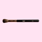 Felic 21 Face Brush F16 Blusher Brush