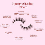 Felic 21 Ministry Of Lashes Bloom