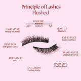 Felic 21 Principle Of Lashes Flushed