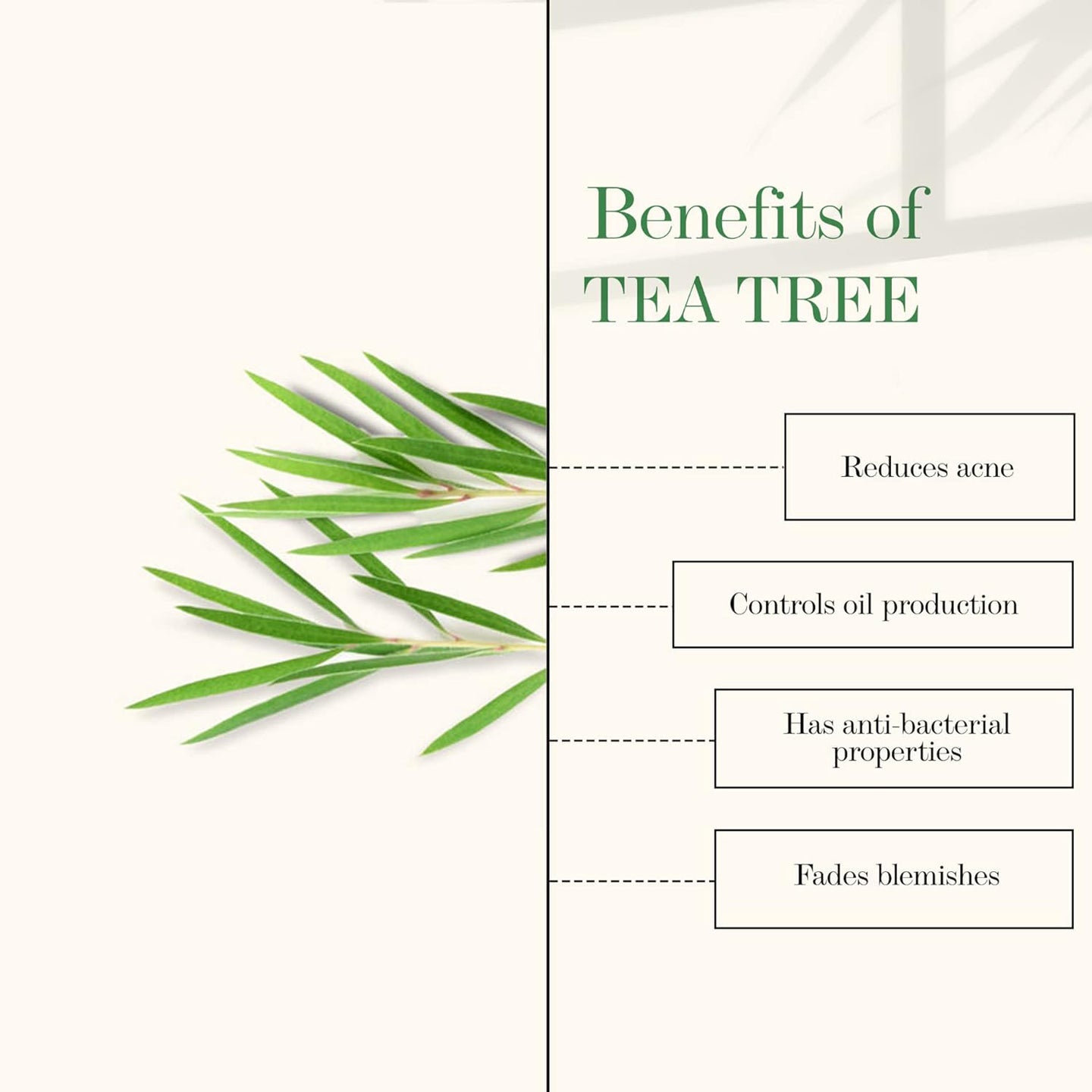 Good Vibes Oil Control Tea Tree & Papaya Face Serum