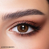 Bella One Day Color Contact Lenses Almond Brown 5 PAIR