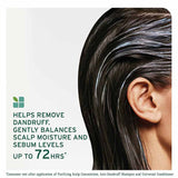 Matrix Biolage Scalp Sync Anti Dadruff Shampoo