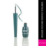 Recode Picture Perfect Liquid Eyeliner