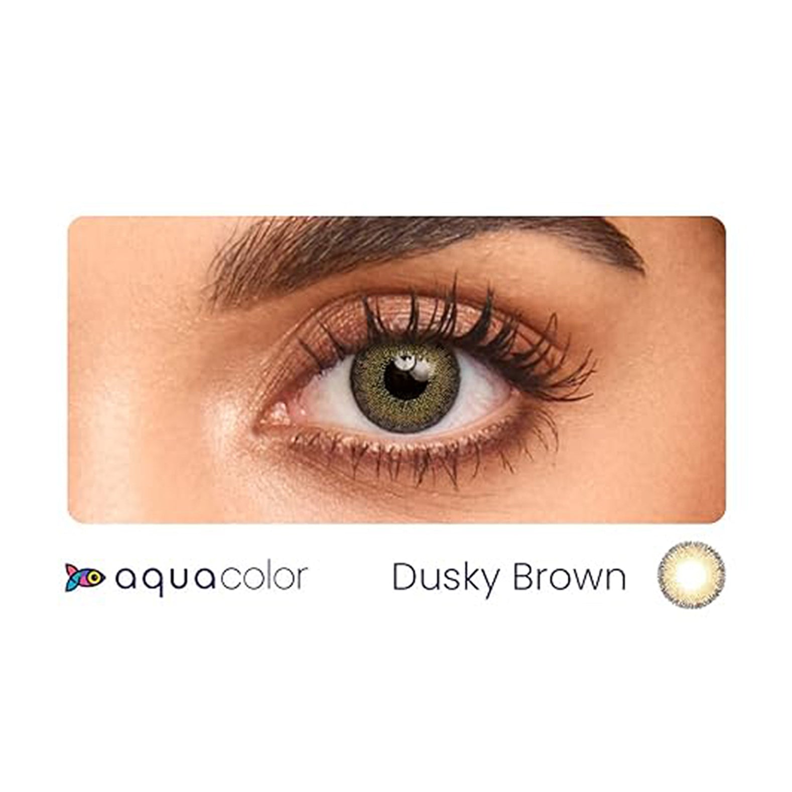 Aqua Color Contact Lenses Dusky Brown