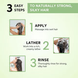 Wella Professionals Elements Renewing Shampoo
