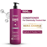 Streax Professional Canvoline Shampoo
