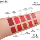 Imagic Matte Liquid Lipstick Kit 5*5G