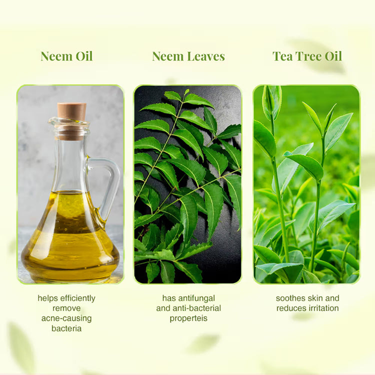 Ayurveda Skin Purifying Double Power Double Neem Face Wash - 100 Ml