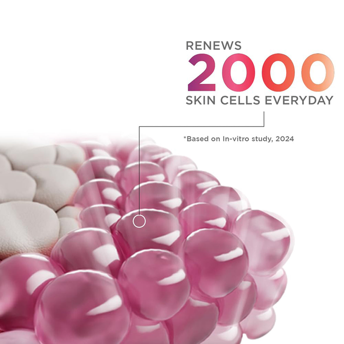Fair & Lovely Glow & Lovely Advanced Multi Vitamin Face Cream