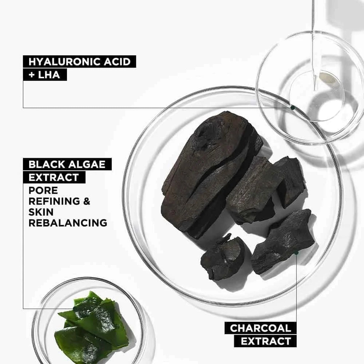 Garnier Charcoal Serum Sheet Mask 28G
