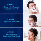 Gillette Regular Shave Foam