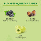 Nyle Volume Enhance Shampoo Reetha Black Berry