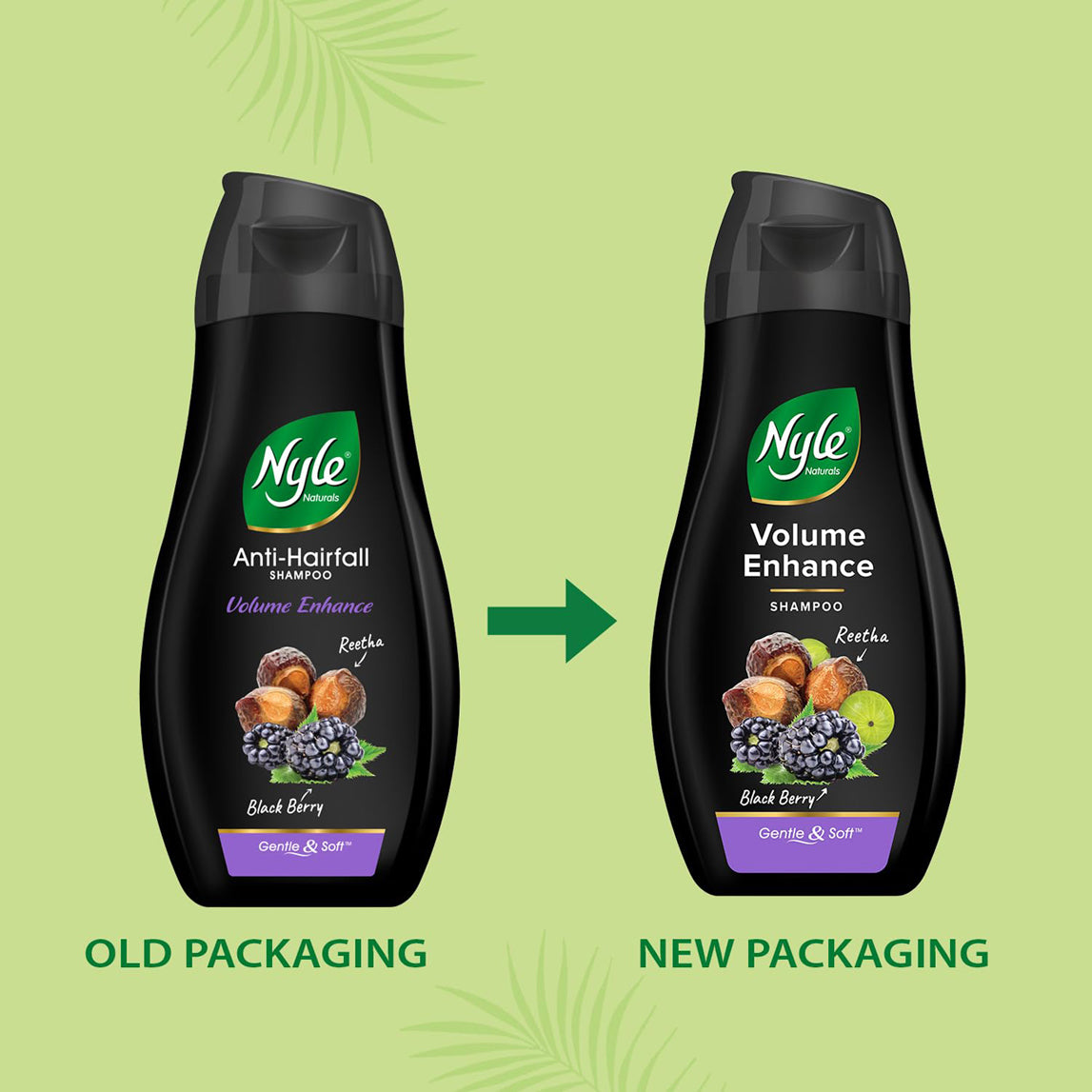 Nyle Volume Enhance Shampoo Reetha Black Berry
