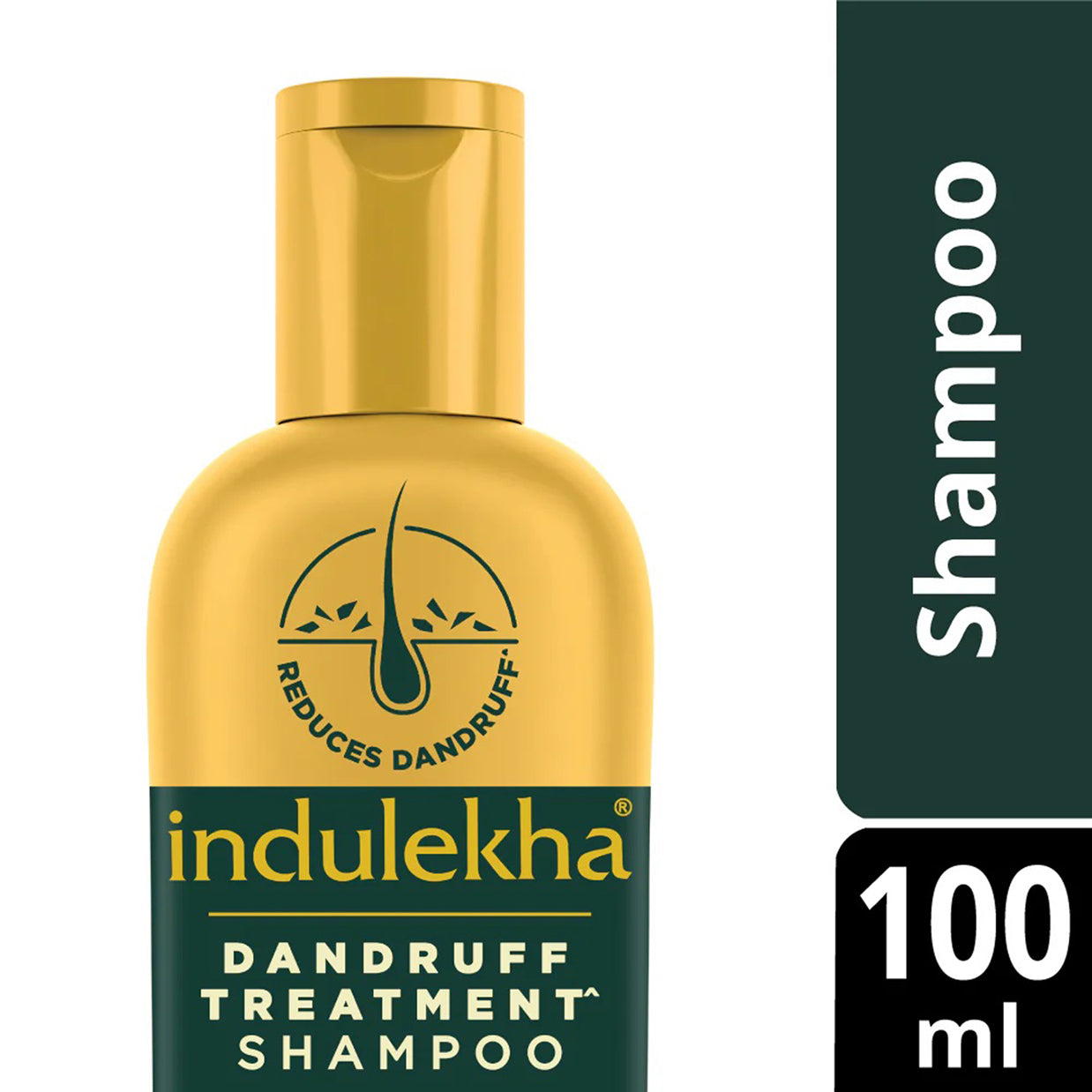 Indulekha Dandruff Treatment Shampoo