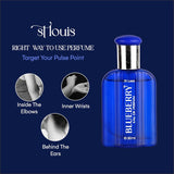 Blueberry Apparel Perfume 30Ml