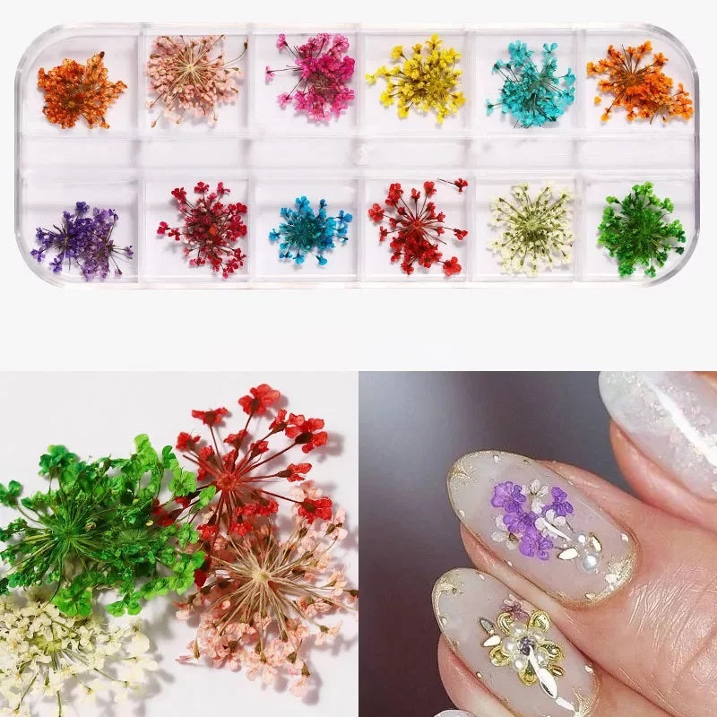 Shills Dry Flower Grid Sgm-7