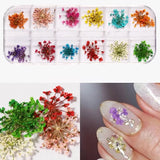 Shills Dry Flower Grid Sgm-7
