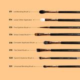 Felic 21 Brush Set(Set Of 32)