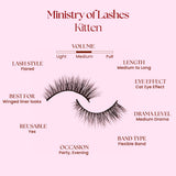 Felic 21 Ministry Of Lashes Kitten