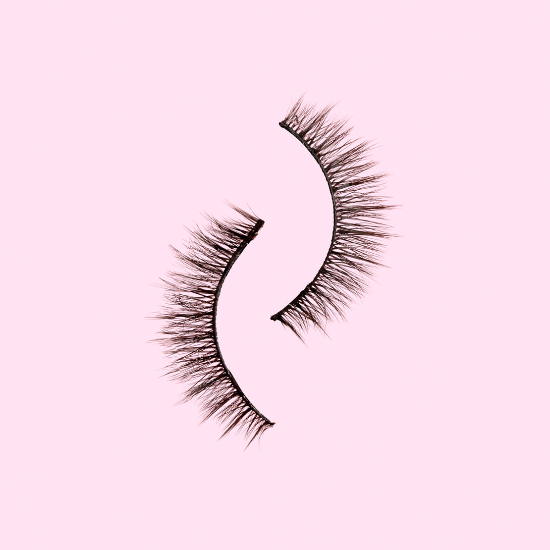 Felic 21 Master Of Lashes Muse