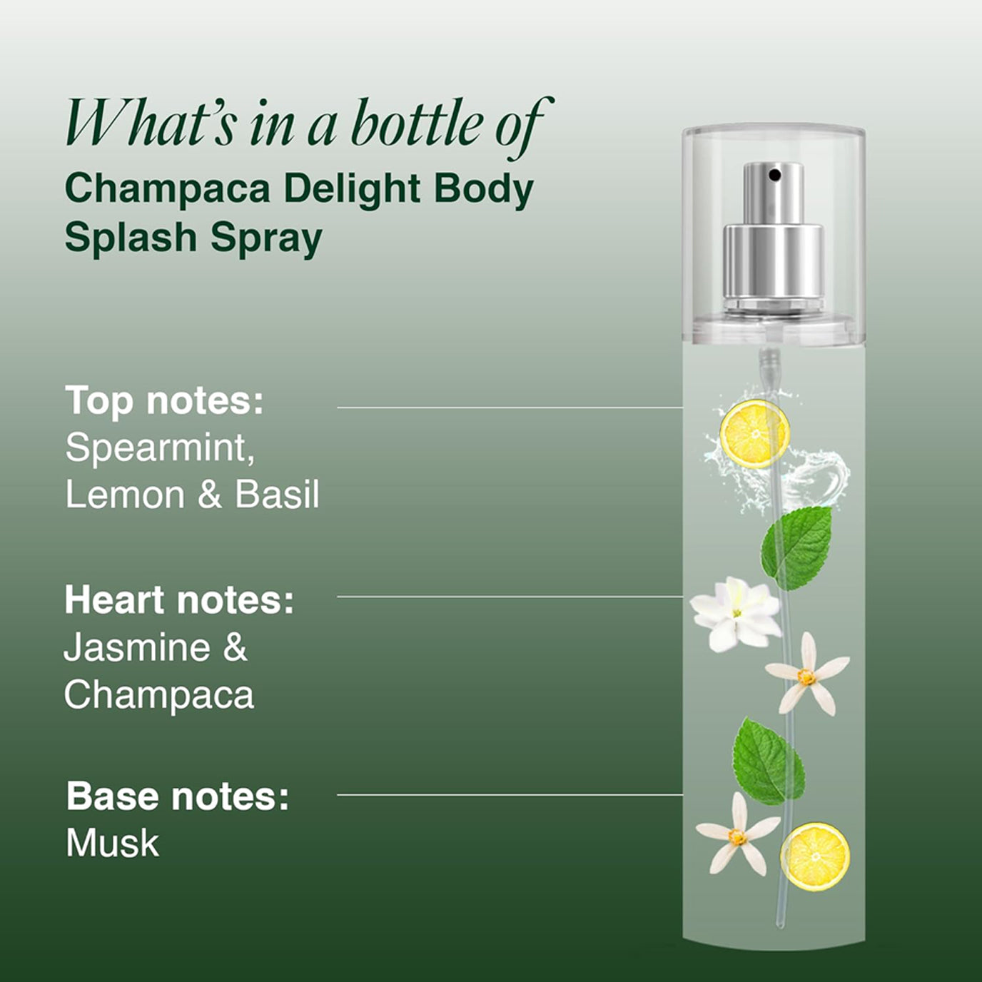 Layer R Wottagirl Champaga Delight Body Splash For Her 135Ml