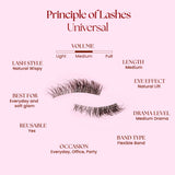 Felic 21 Principle Of Lashes Universal