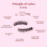 Felic 21 Principle Of Lashes Iconic