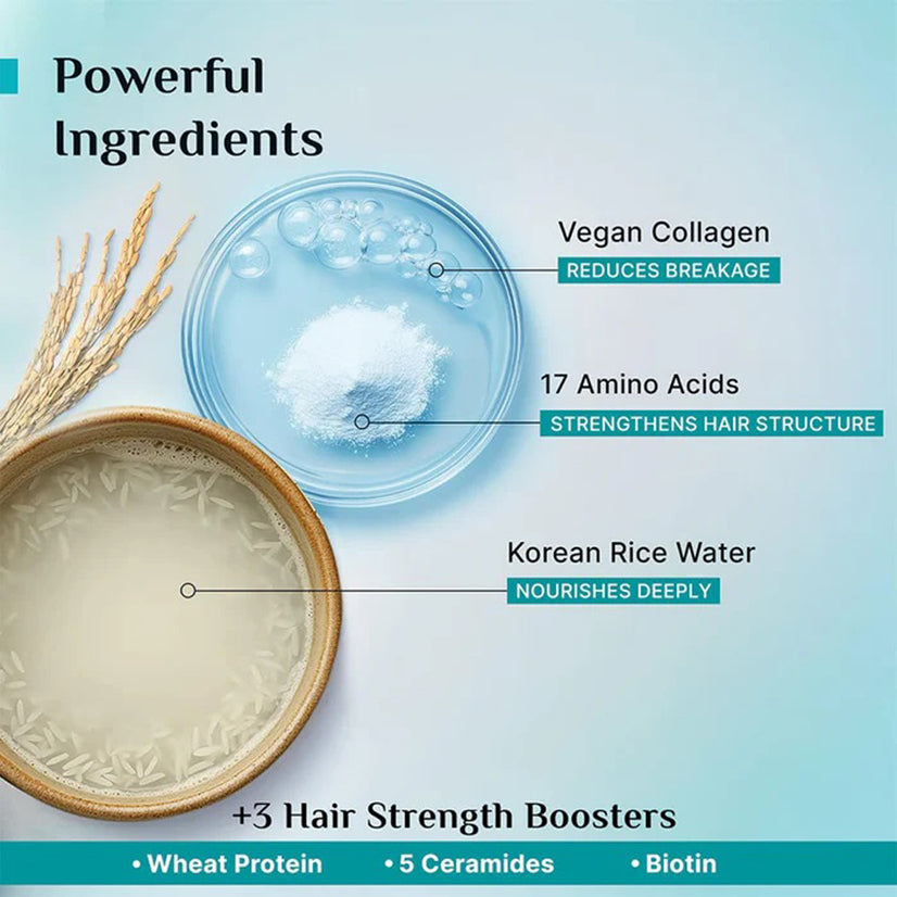Pilgrim Korean Rice Water Collagen Advanced Damage Repair Shampoo