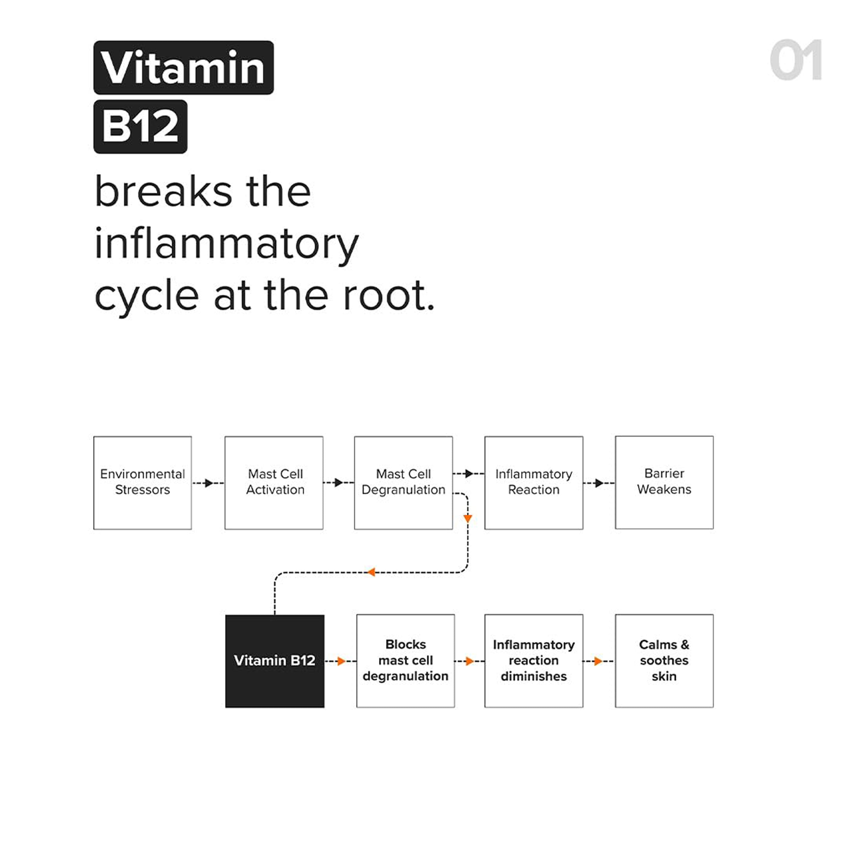 Minimalist B12+Repair Complex 5.5Per Moisturizer