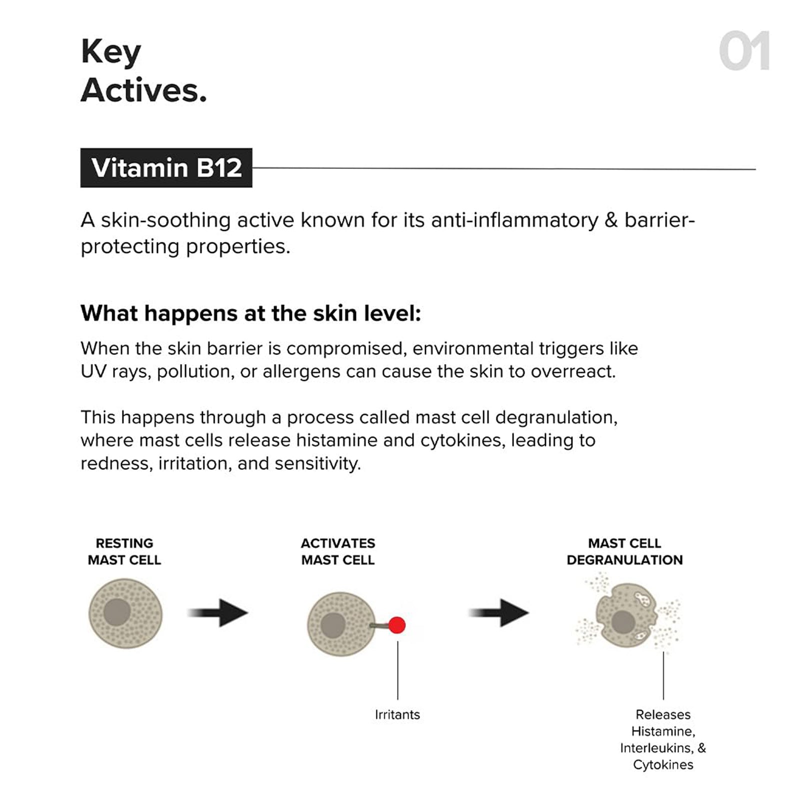 Minimalist B12+Repair Complex 5.5Per Moisturizer