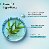 Pilgrim Australian Tea Tree Non Drying Anti Dandruff Shampoo