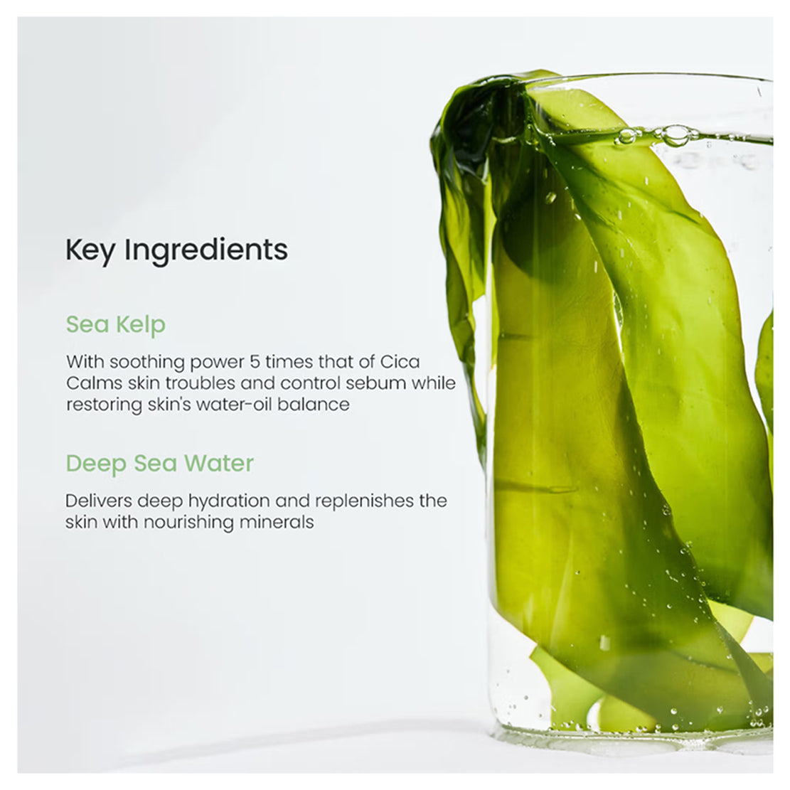 Biodance Refreshing Sea Kelp Real Deep Mask 34g*4