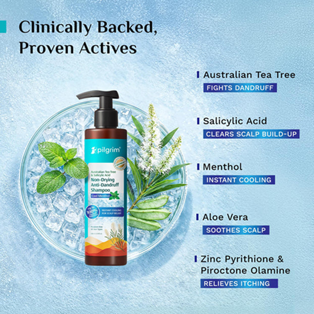 Pilgrim Tea Tree Non-Drying Anti-Dandruff Shampoo Cool Menthol
