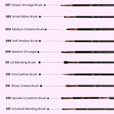 Felic 21 Brush Set Blend & Define (Set Of 10)