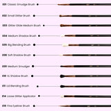 Felic 21 Brush Set(Set Of 32)