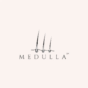 MEDDULA logo