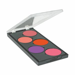 Make Up Studio Make-Up Ep099 Blusher Pallate-1